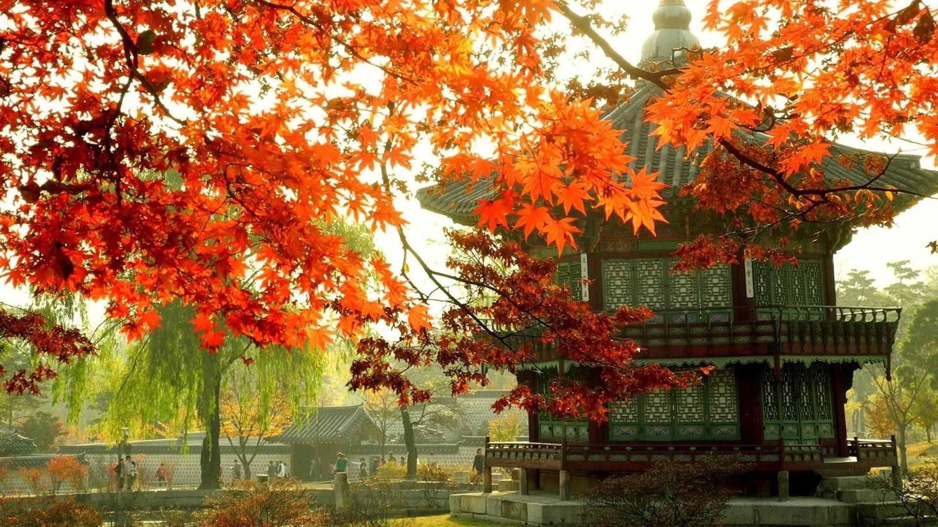 Pagoda coreana con foglie autunnali, 1920x1080 Full HD, PC Desktop