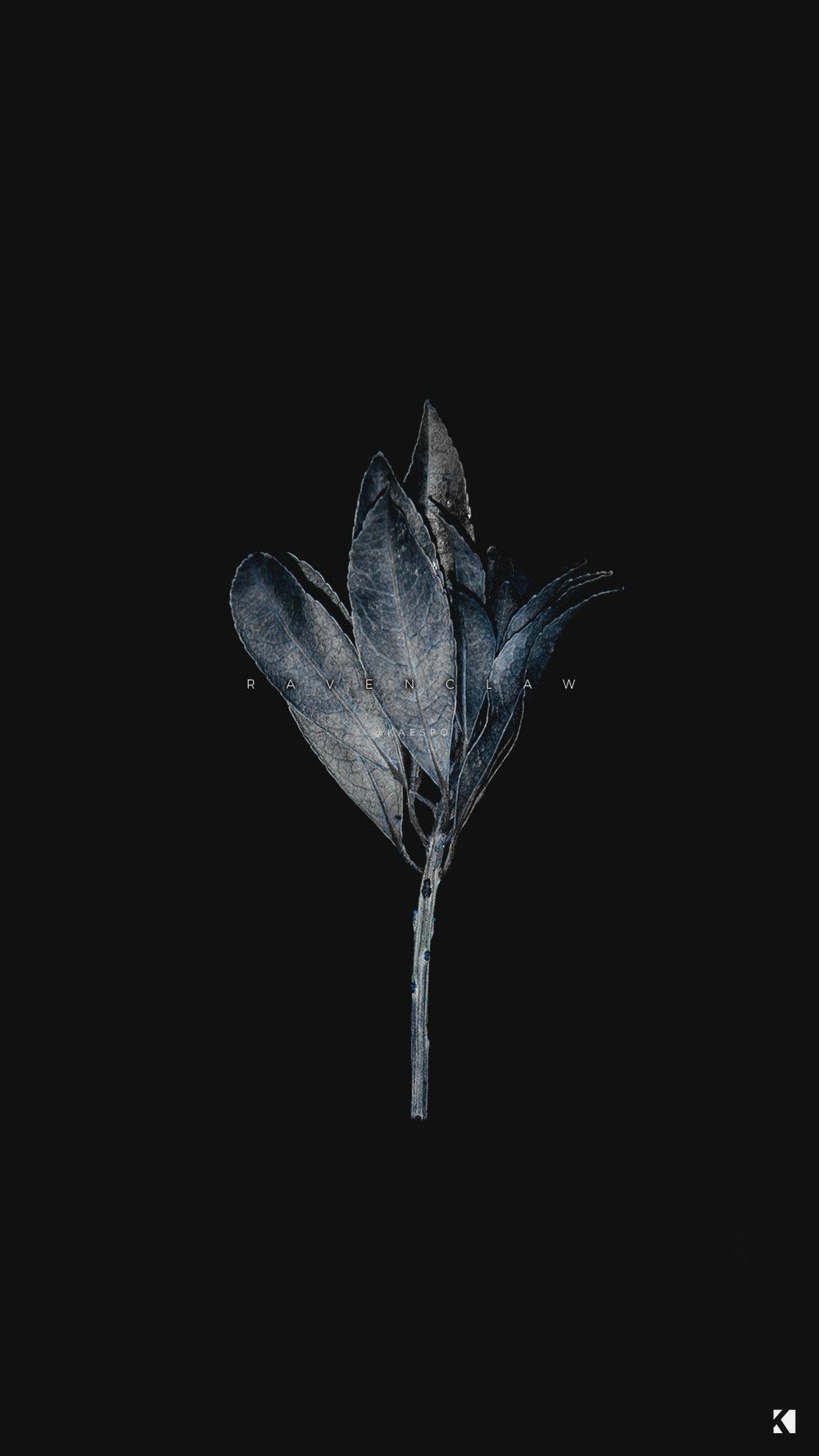 Fiore nero scuro, 1000x1778 Verticale, Android