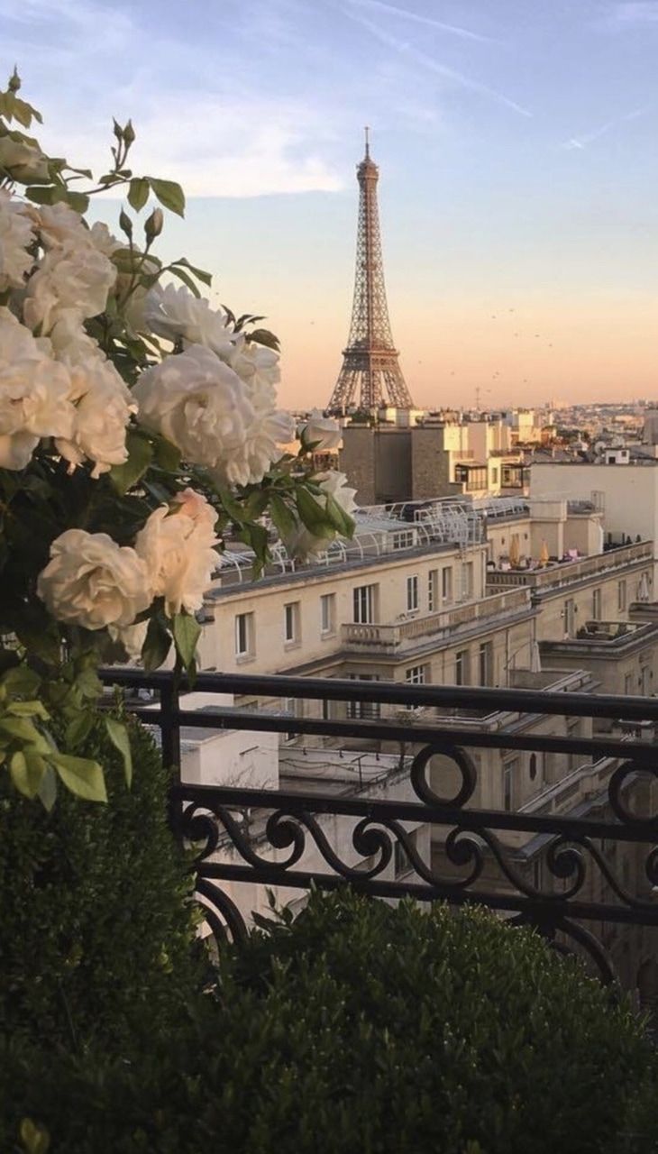 Torre Eiffel balcone fiori bianchi, Parigi, 730x1280 Verticale, Mobile