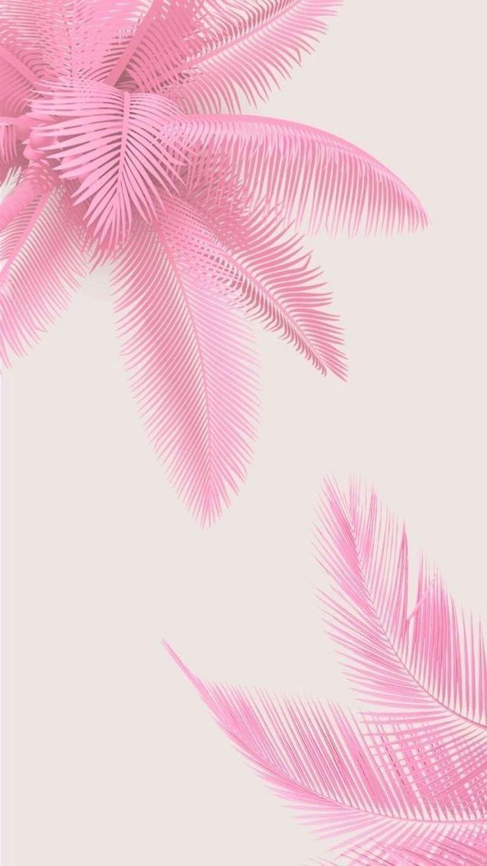 Foglie di palma rosa, 700x1244 Full HD Verticale, iPhone