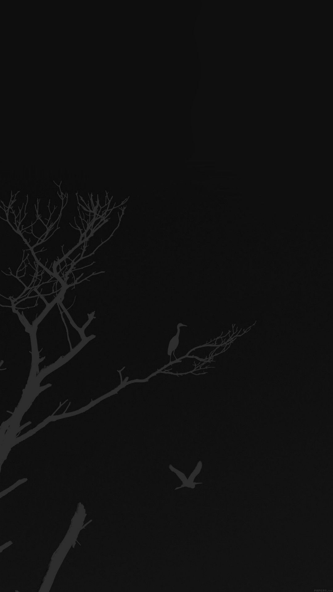 Ramo albero uccelli neri, 1080x1920 Verticale, Mobile