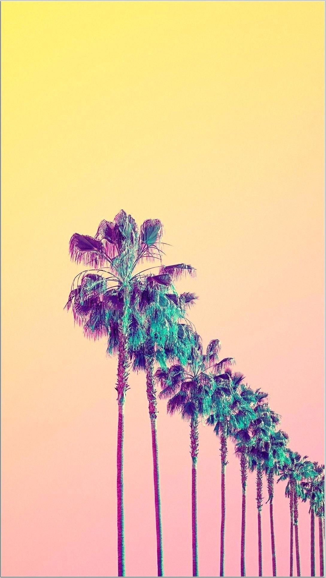 Palme al tramonto pastello, 1089x1929 Full HD Verticale, Smartphone