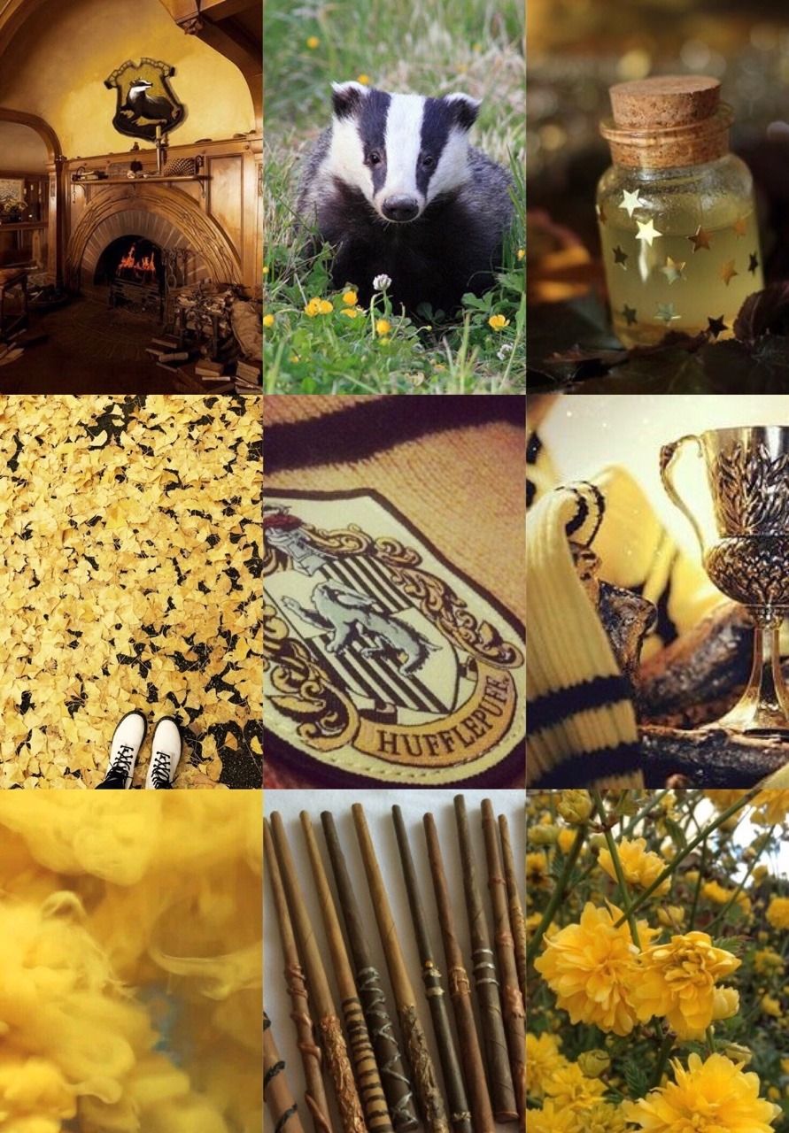 Collage Tassorosso Harry Potter, 891x1280 Verticale, Mobile
