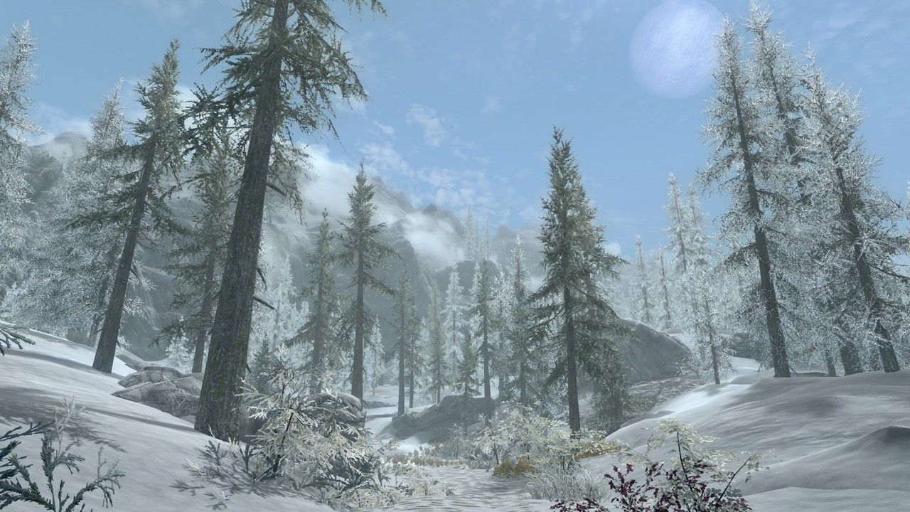 Foresta innevata alberi ghiacciati, 1280x720 720p, Laptop