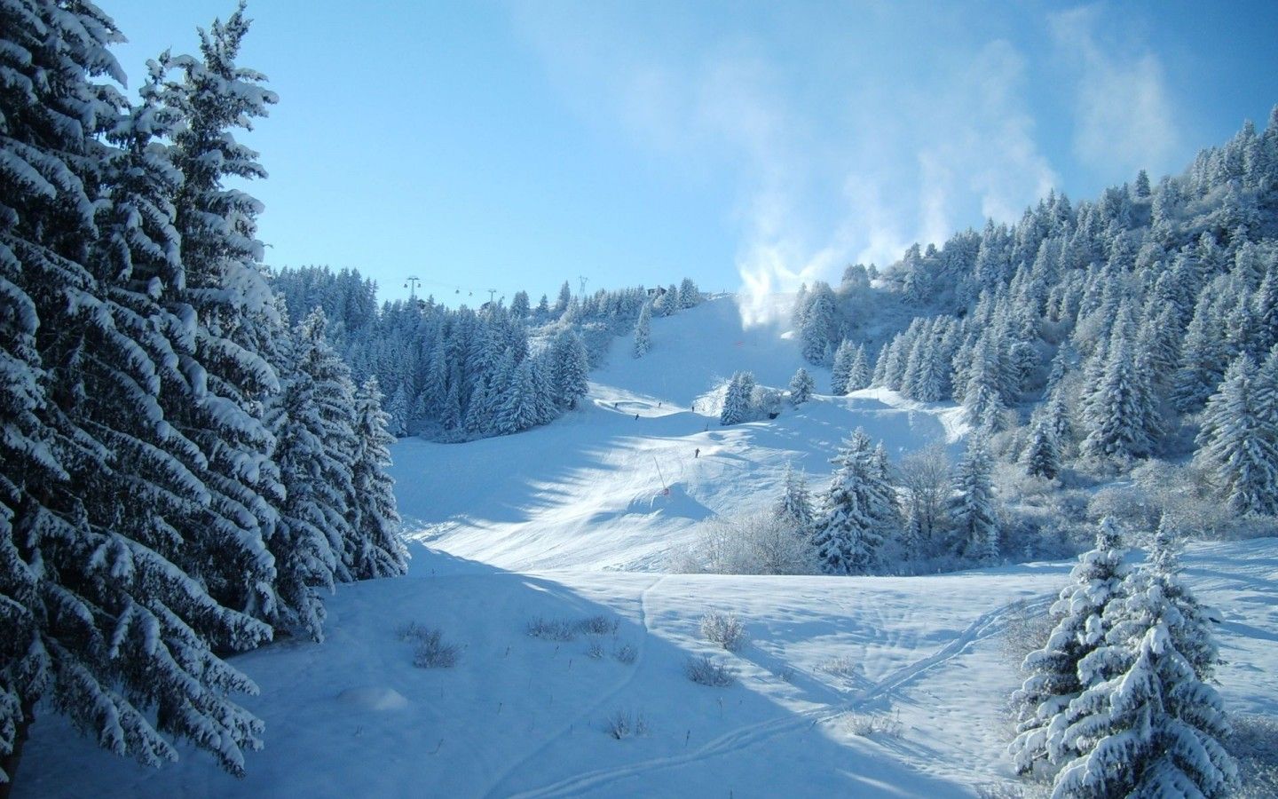 Pineta innevata montagna invernale, 1440x900 720p, Laptop
