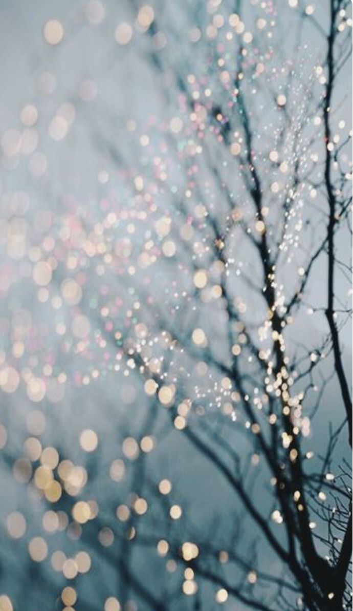 Rami spogli con luci bokeh, 690x1193 Full HD Verticale, iPhone