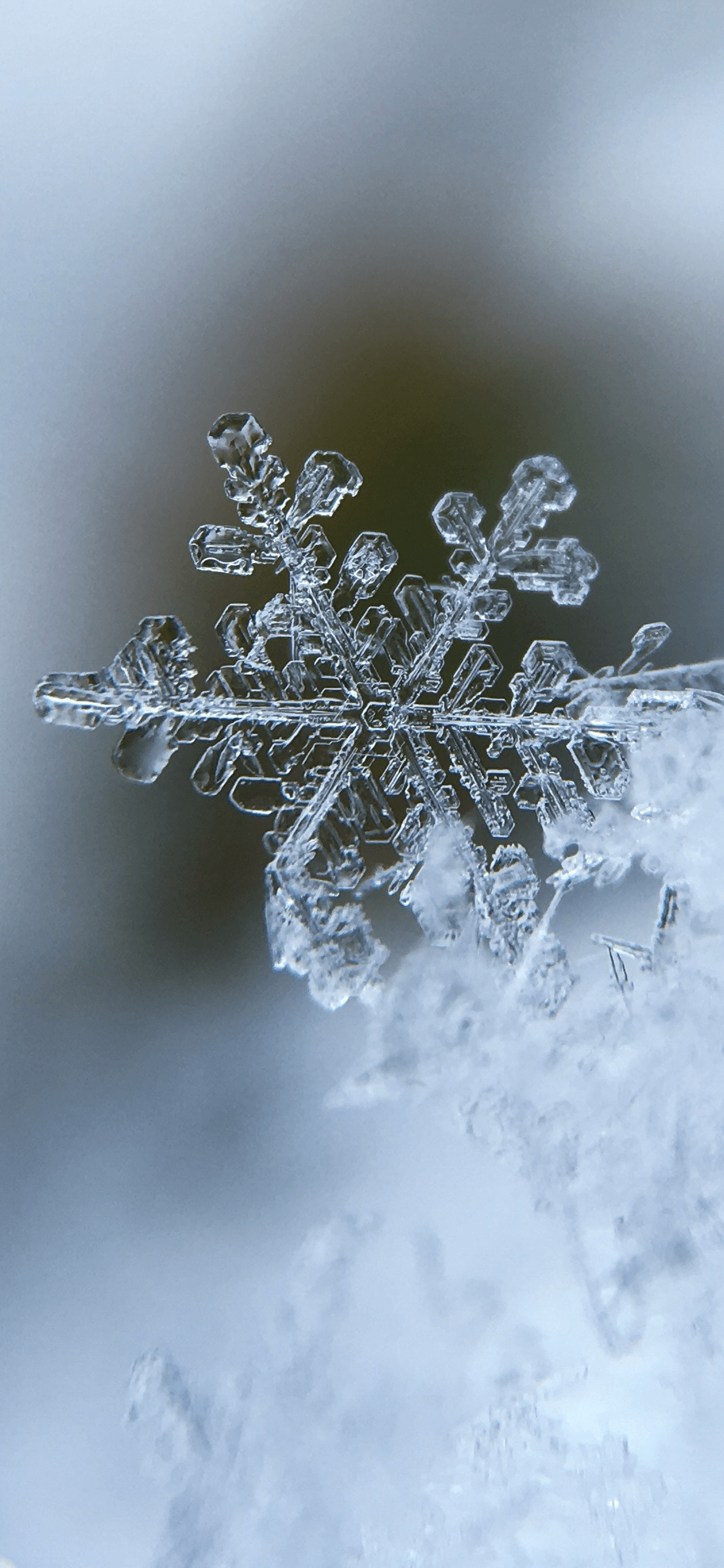 Fiocco di neve macro ghiacciato, 1242x2688 Verticale, Mobile