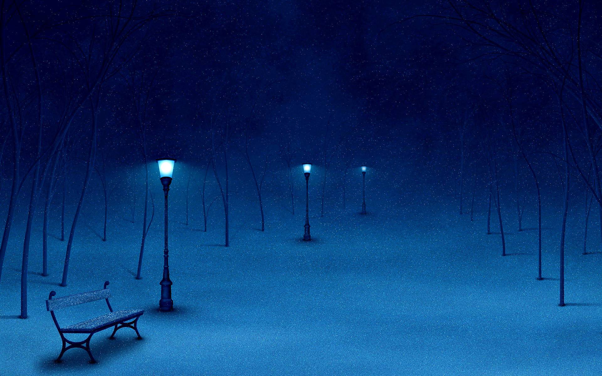 Parco notturno invernale innevato, 1920x1200 WUXGA, Desktop