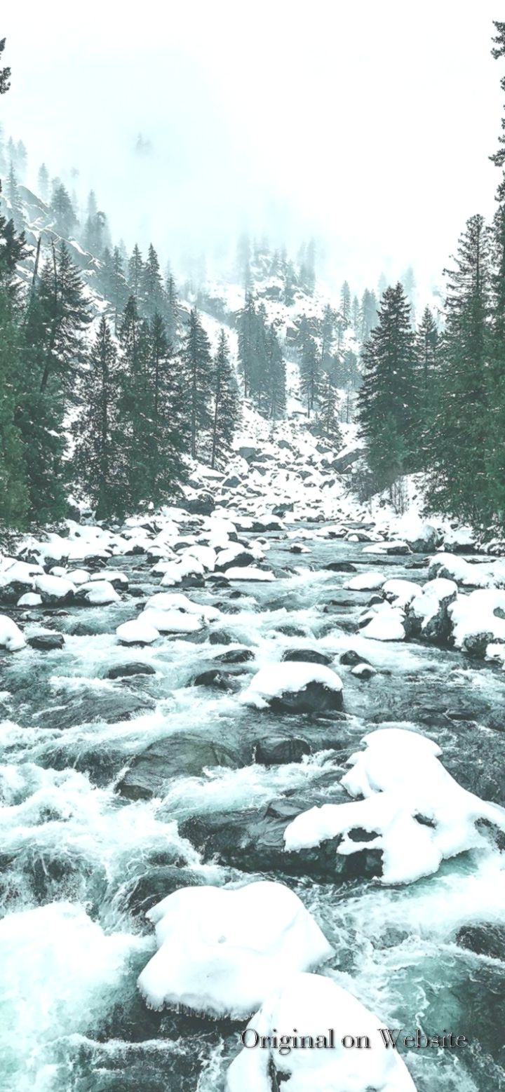 Fiume innevato tra pini, 720x1557 Full HD Verticale, iPhone