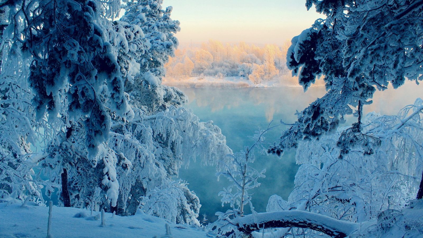 Foresta innevata con alba, 1600x900 HD Ready, Laptop