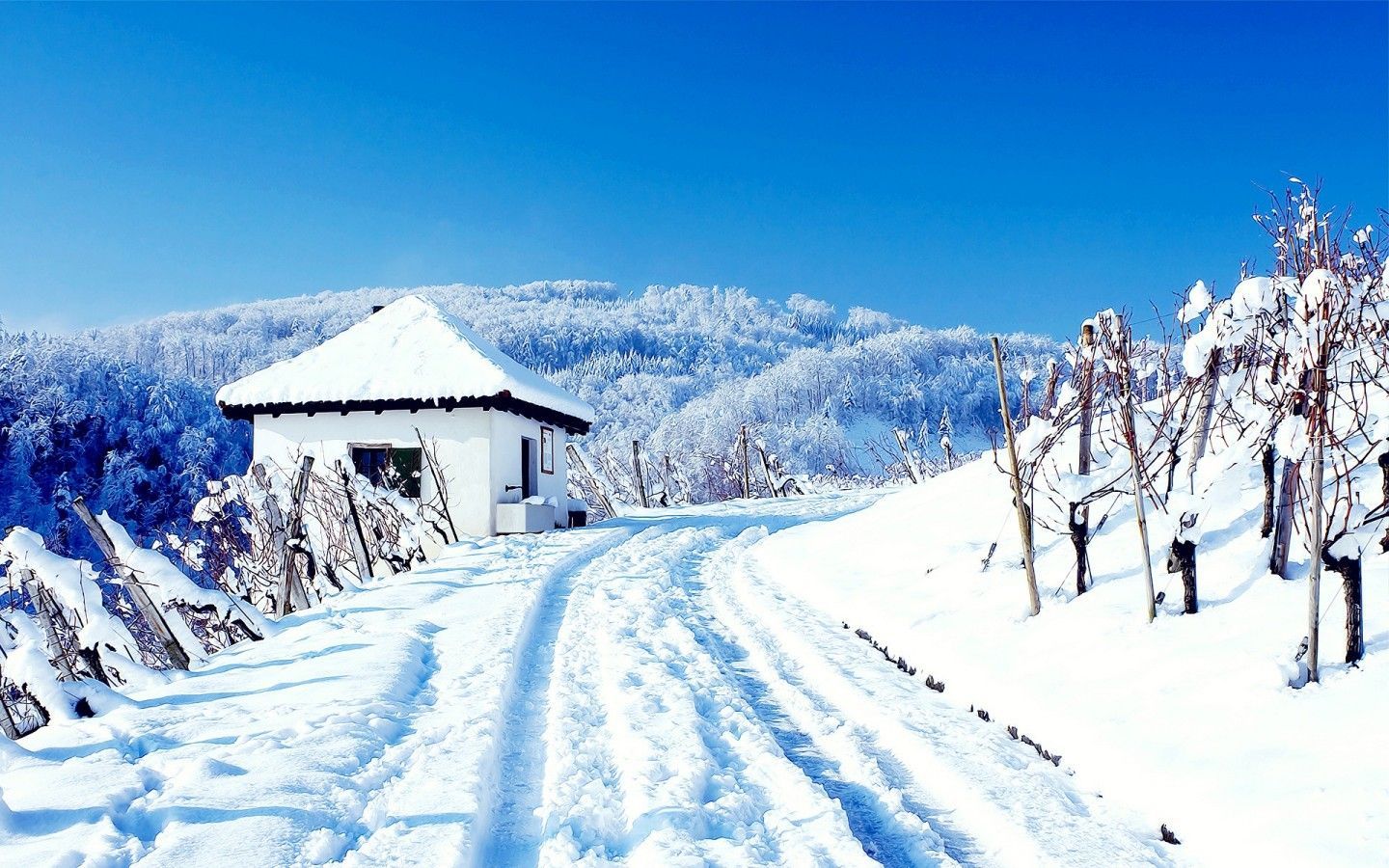 Capanna innevata su collina, 1440x900 HD, Desktop