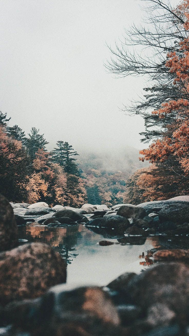 Fiume con rocce e alberi autunnali, 736x1308 Full HD Verticale, Realme