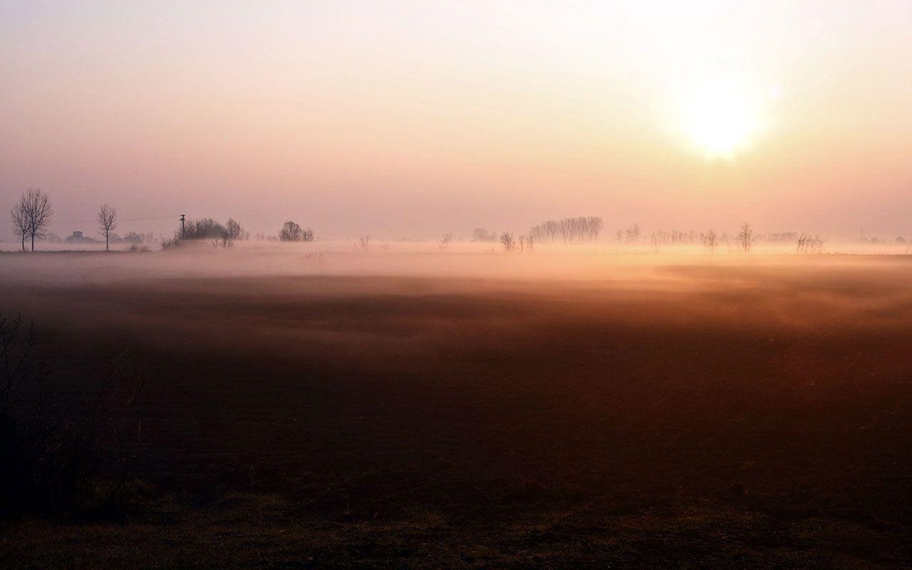 Campo nebbioso all'alba, 1280x800 HD, Desktop