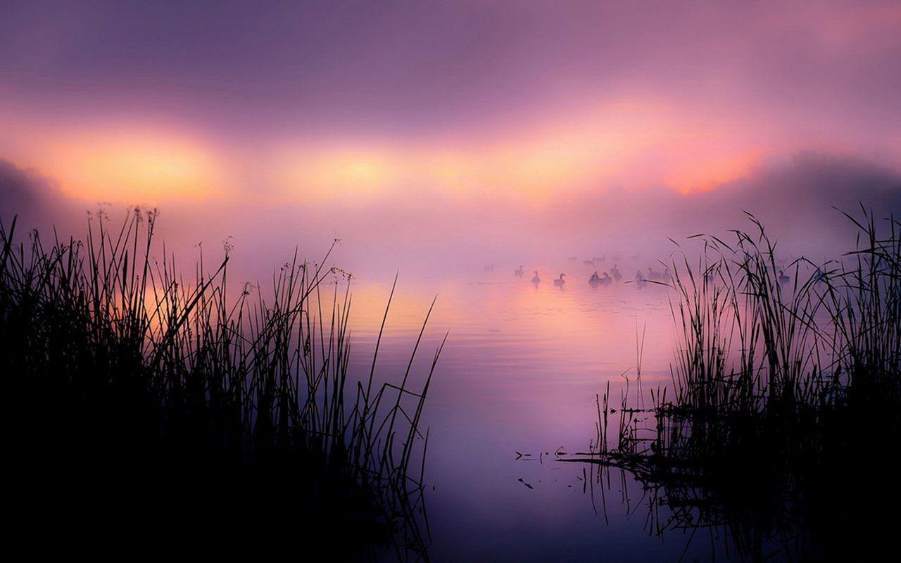Alba nebbiosa su lago, 1280x800 720p, Laptop