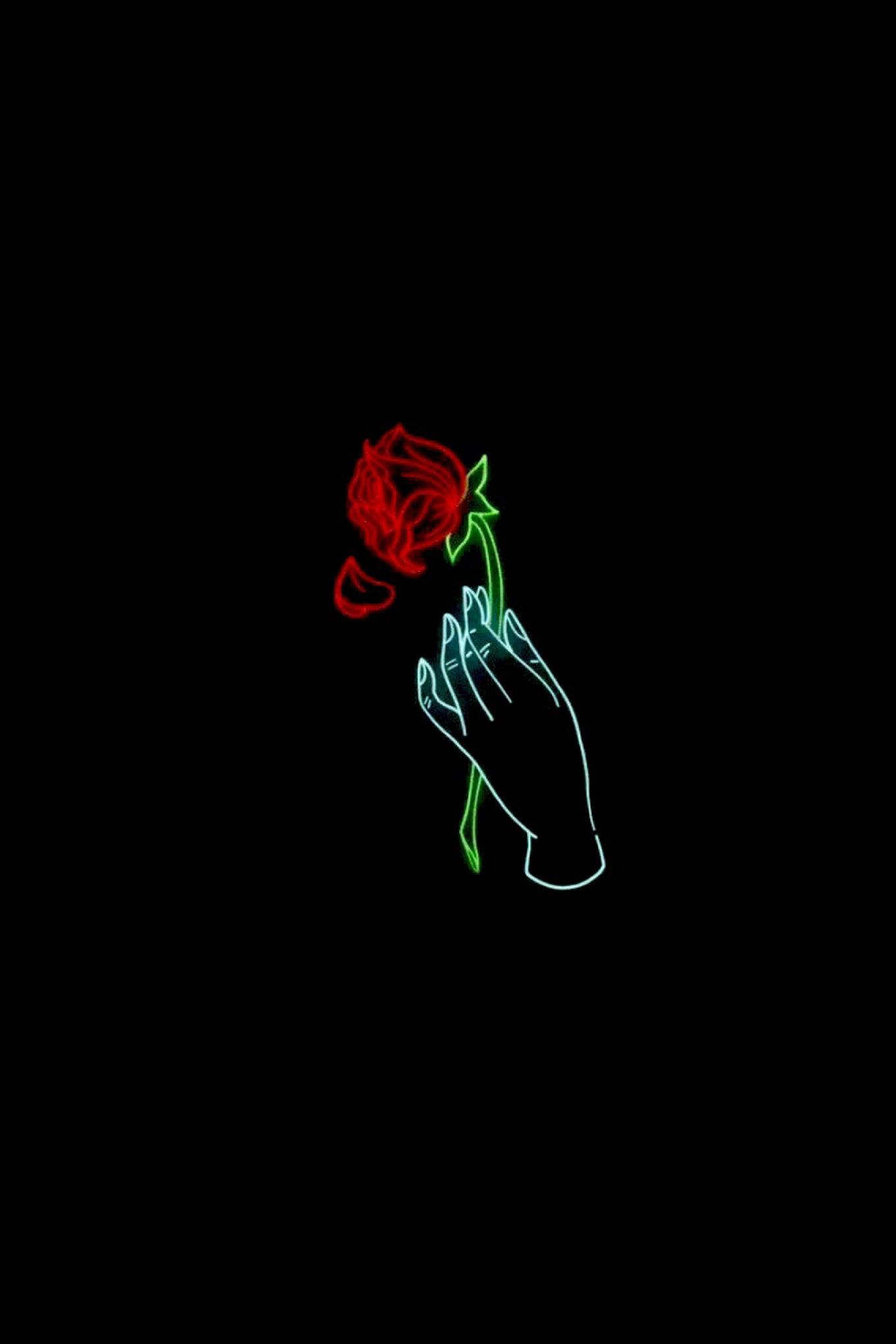 Rose rosse su fogliame scuro, 1440x2880 Full HD Verticale, Samsung Galaxy