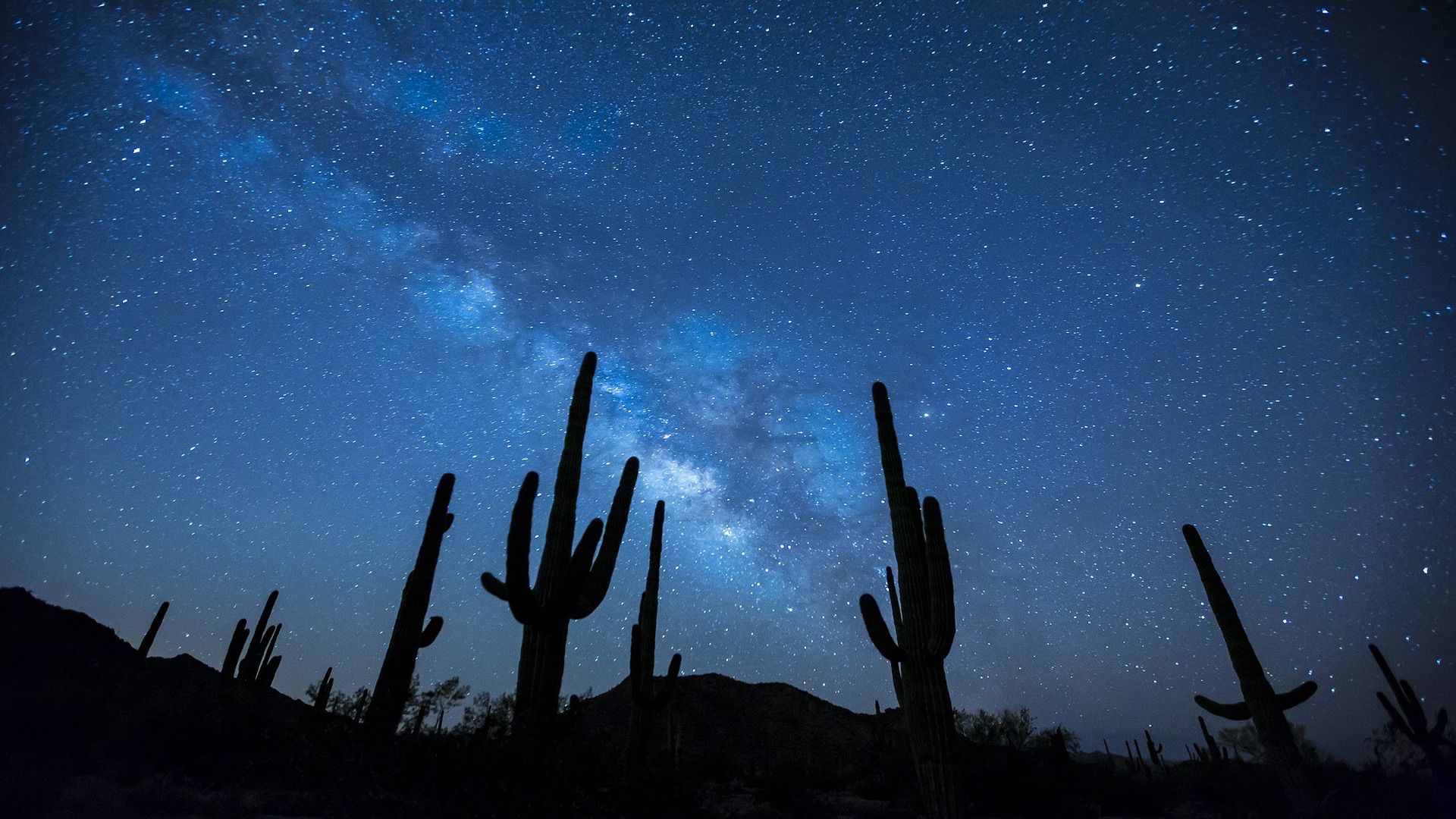 Deserto notturno con cactus e stelle, 1920x1080 1080p, Laptop