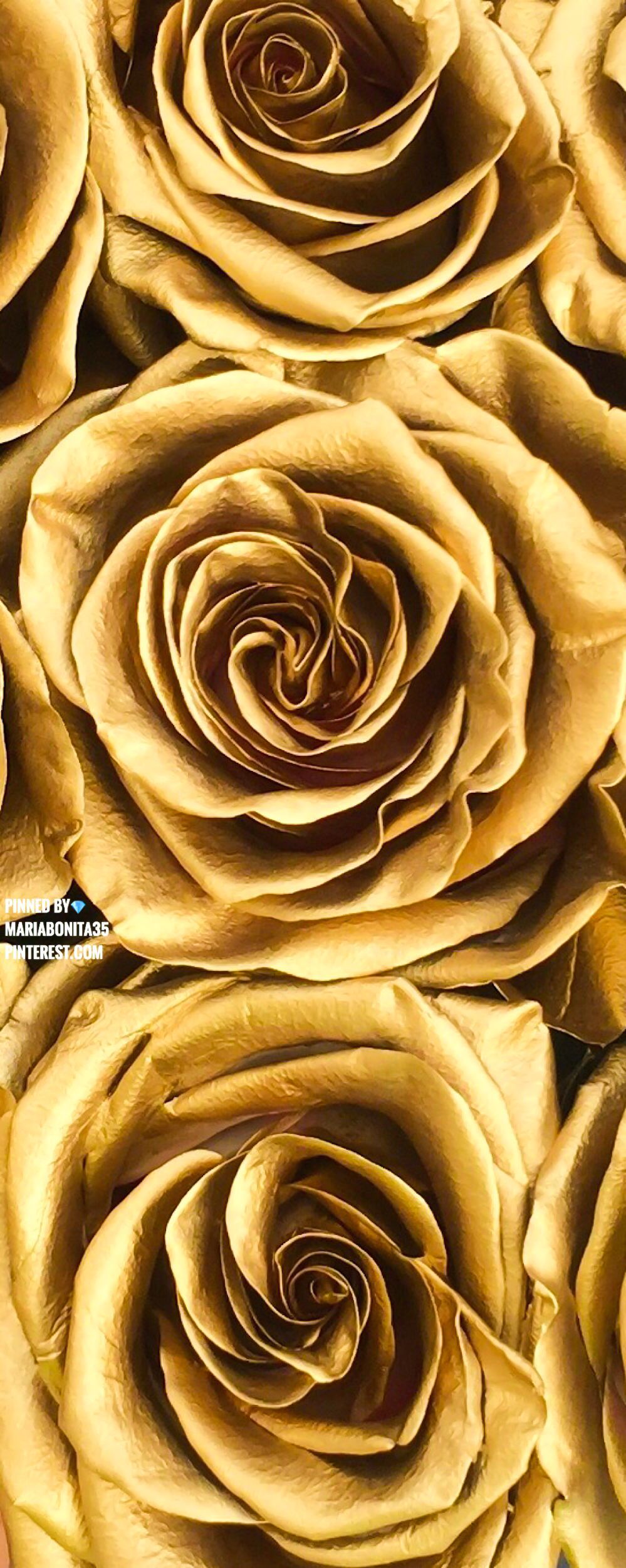 Rose dorate ravvicinate, 999x2500 Verticale, Mobile