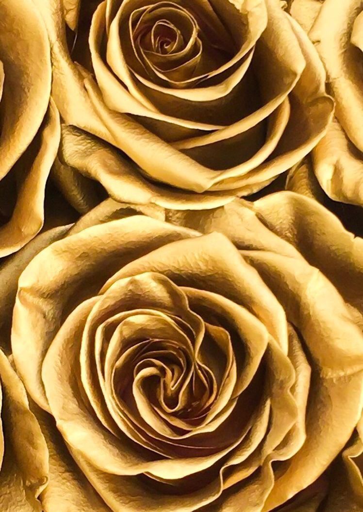 Rose dorate ravvicinate, 748x1054 Verticale, Android