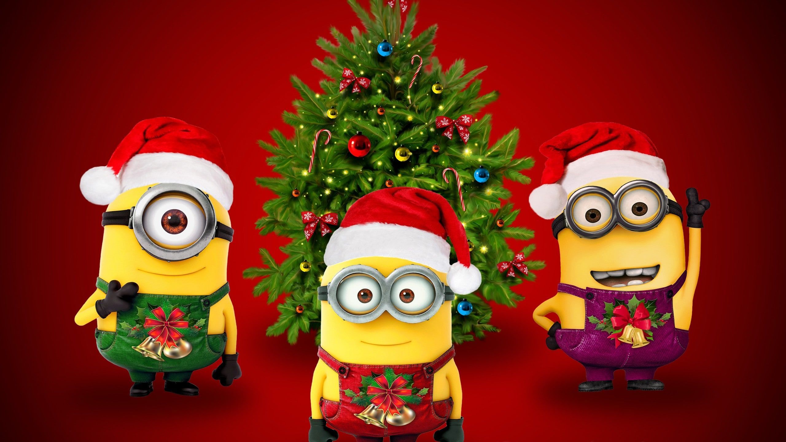 Minions con cappelli Babbo Natale, 2560x1440 1440p, Desktop