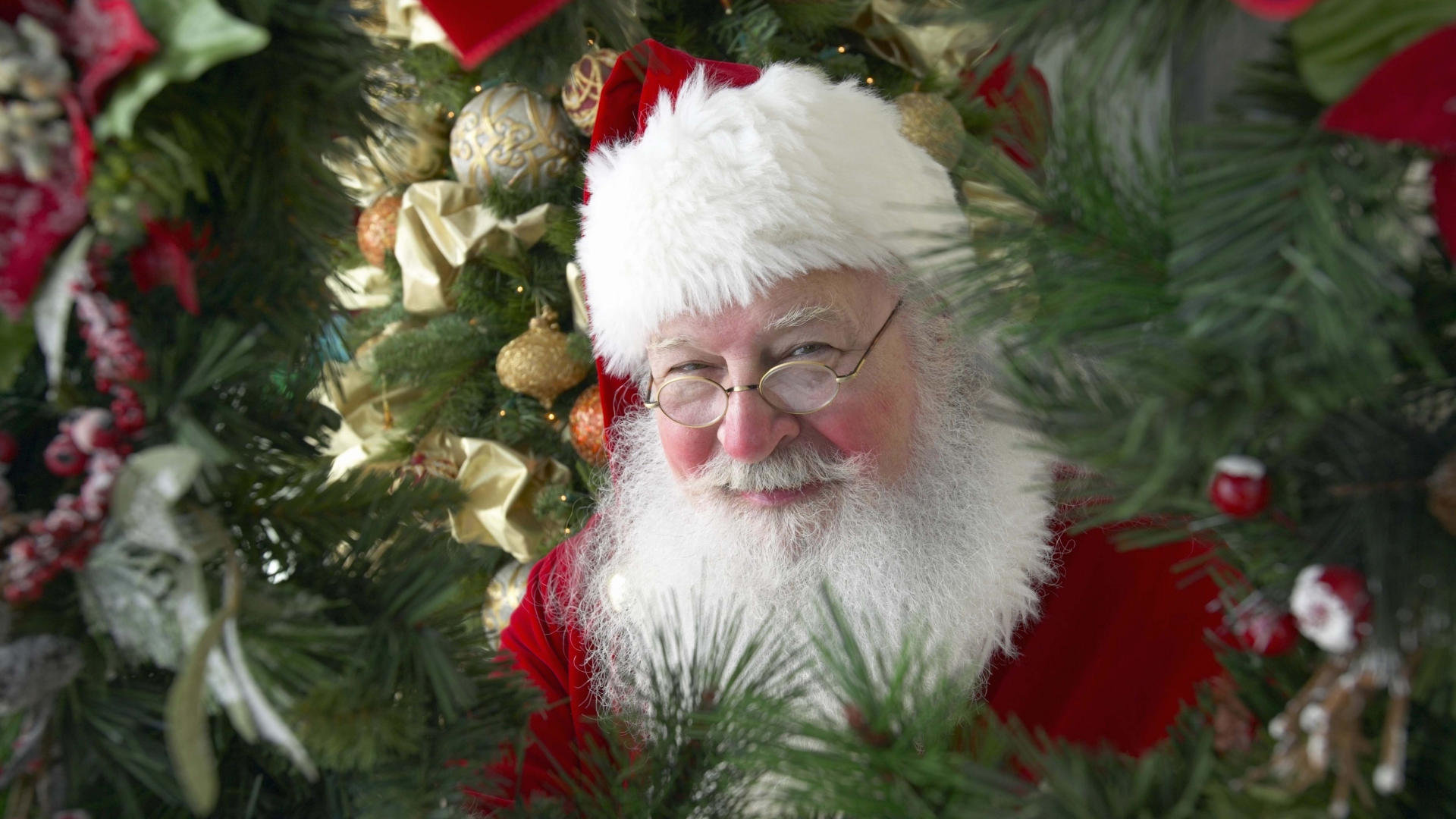 Babbo Natale tra rami di pino, 1920x1080 Full HD 1080p, PC Desktop