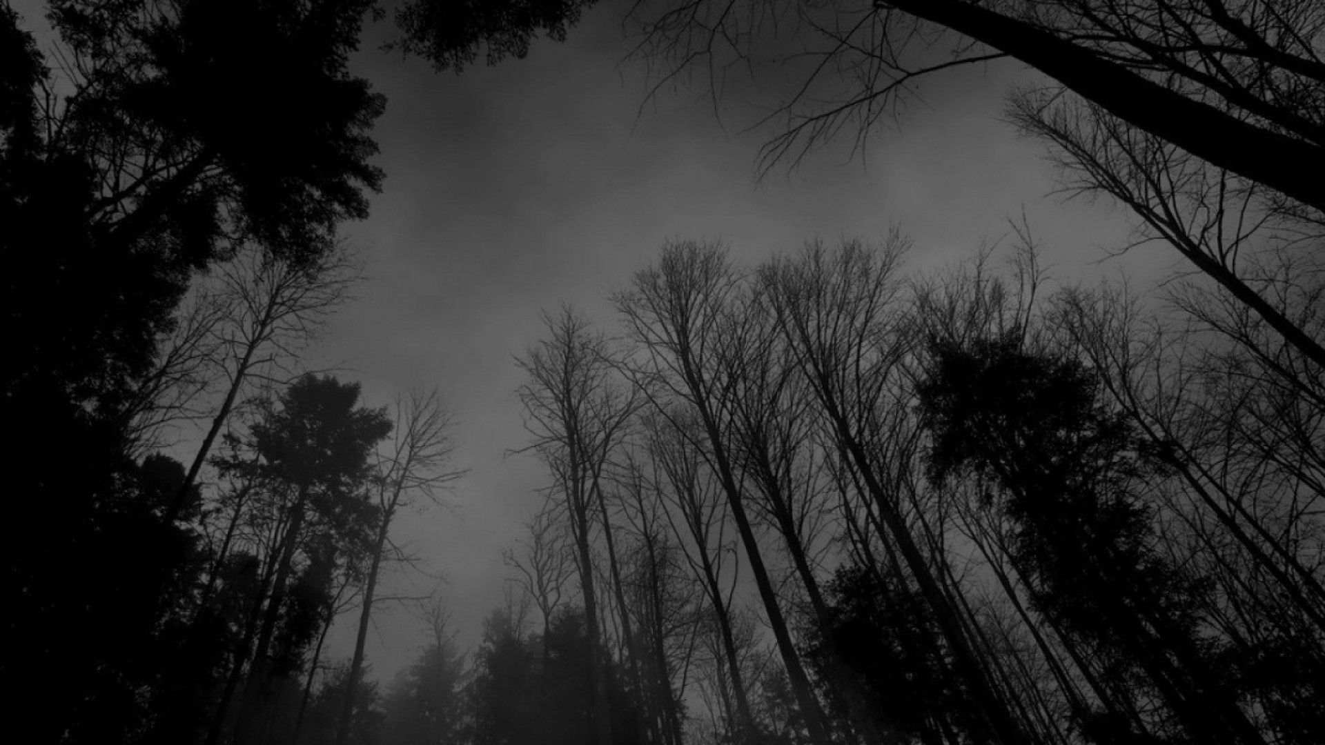 Dark Aesthetic per PC, 1080x1920 Verticale, Mobile