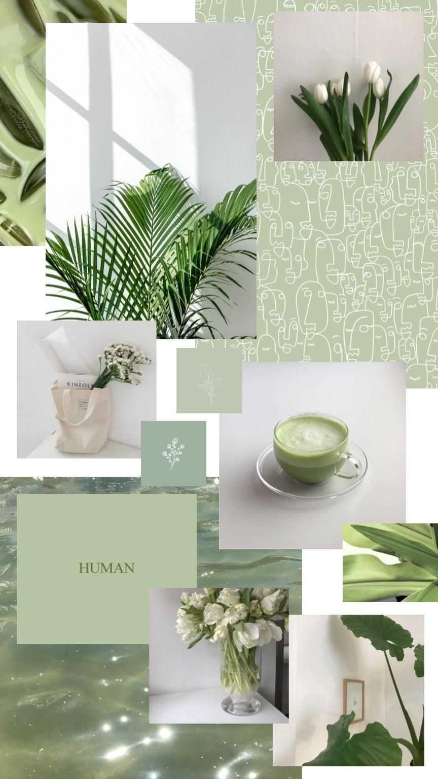 Collage estetico verde salvia, 864x1536 Full HD Verticale, Smartphone