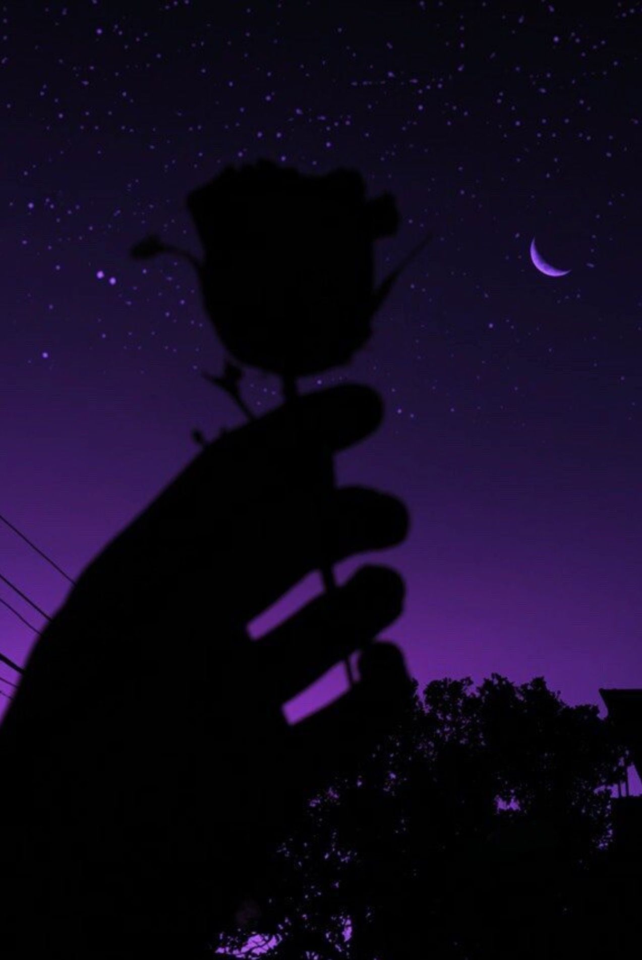Silhouette mano con rosa notte, 1273x1902 Full HD Verticale, Google Pixel