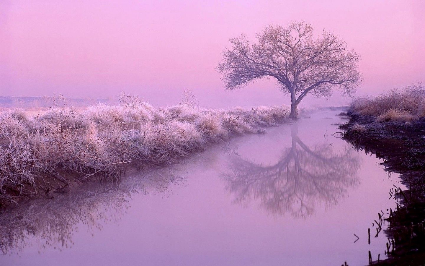 Paesaggio invernale viola tramonto, 1600x900 900p, iMac