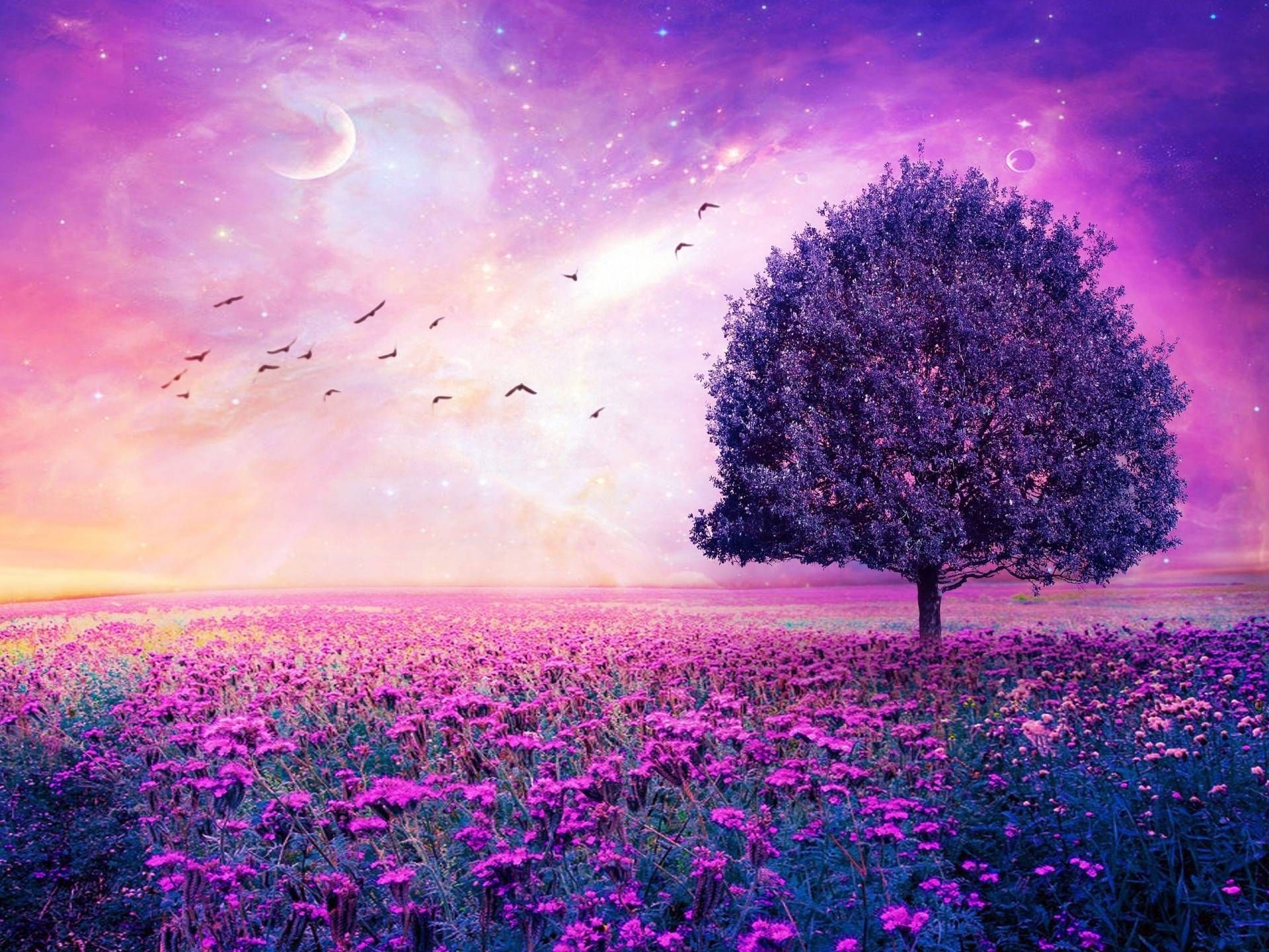Ragazza anime che dorme, viola, 1920x1080 Full HD, Laptop