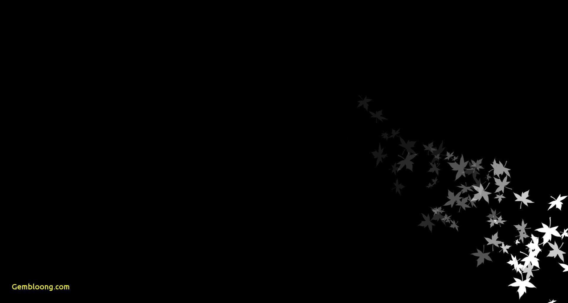 Farfalle nere sfondo scuro, 1920x1024 Full HD 1080p, PC Desktop