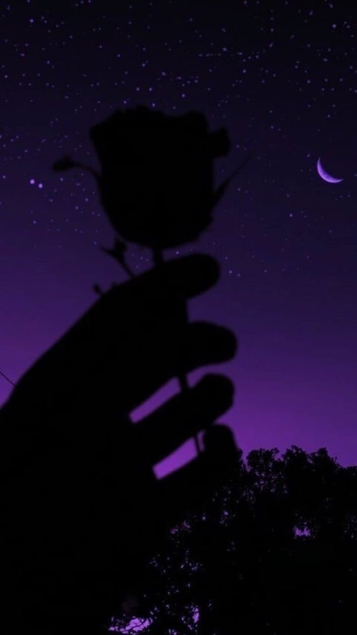 Silhouette mano con rosa, notte, 720x1280 Verticale, OnePlus