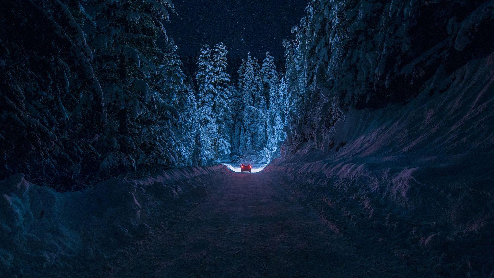 Foresta innevata notturna con luce, 1920x1080 Full HD, PC Desktop