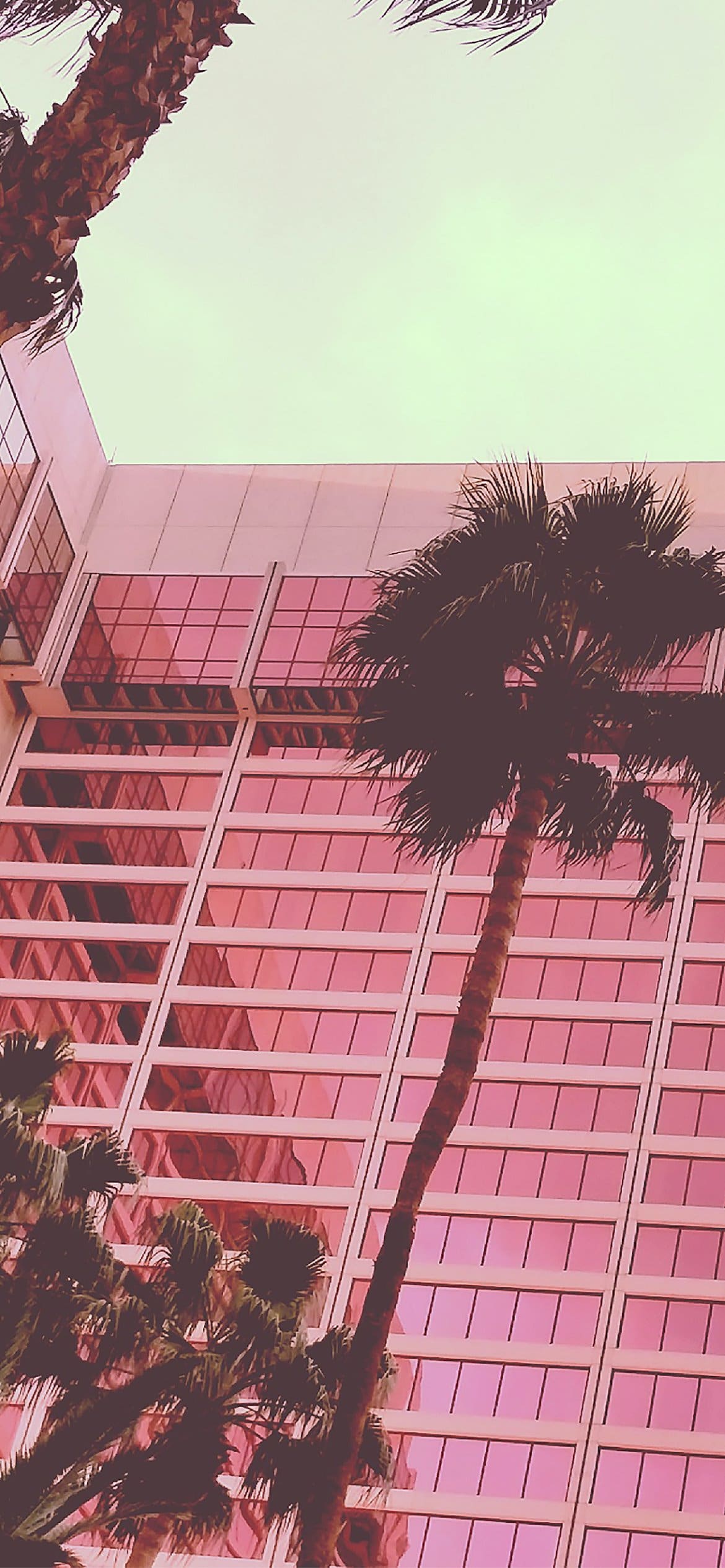 Edificio rosa con palme, 1170x2531 Verticale, Android