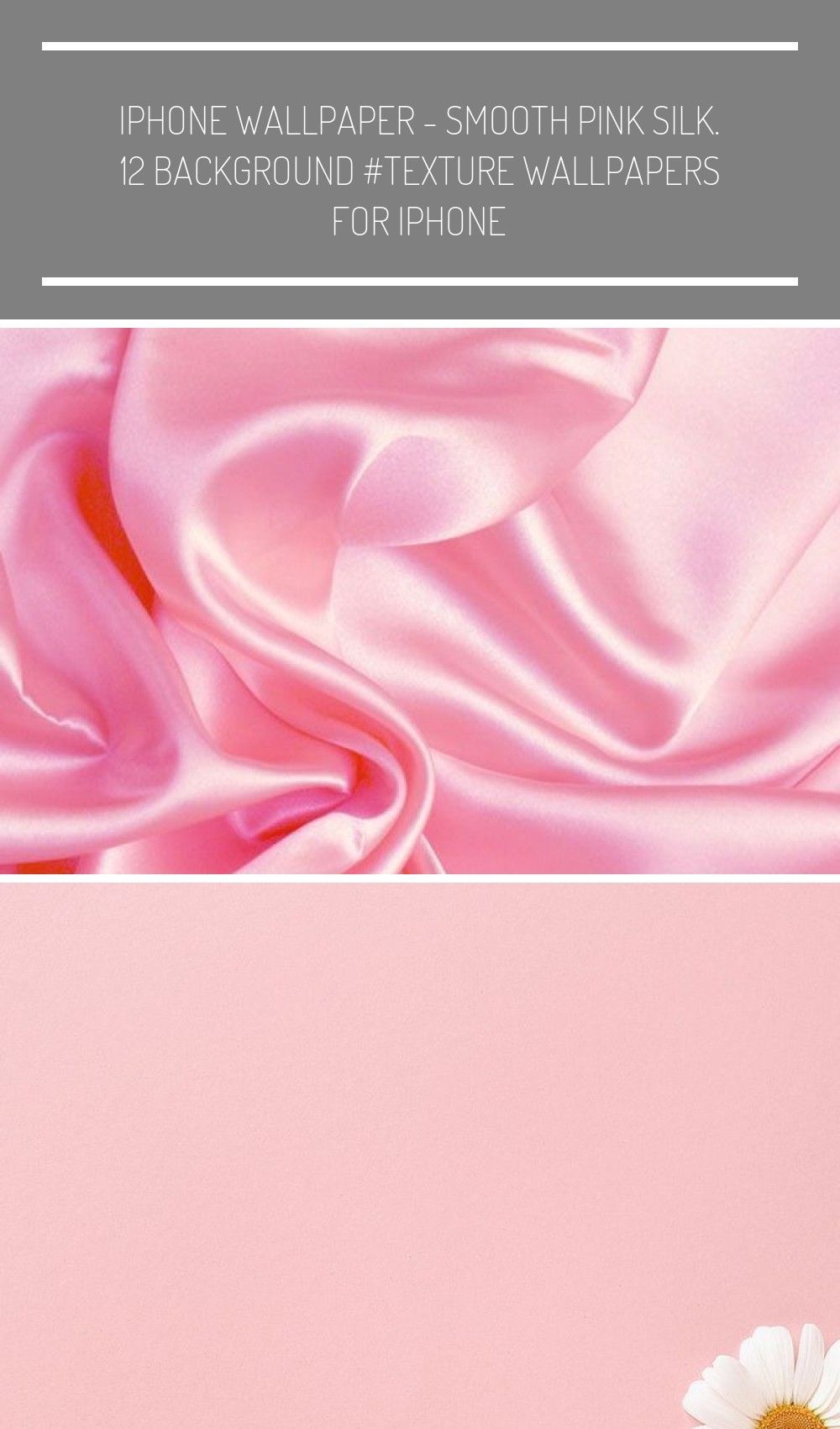 Seta rosa e fiore bianco, 1000x1700 Verticale, iPhone Pro Max