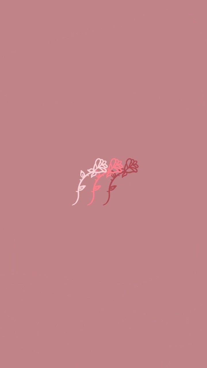 Fiore minimalista rosa, 720x1280 Verticale, iPhone Pro Max