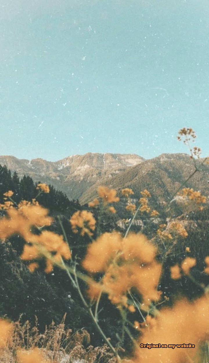 Fiori gialli e montagne, 720x1249 Full HD Verticale, Smartphone