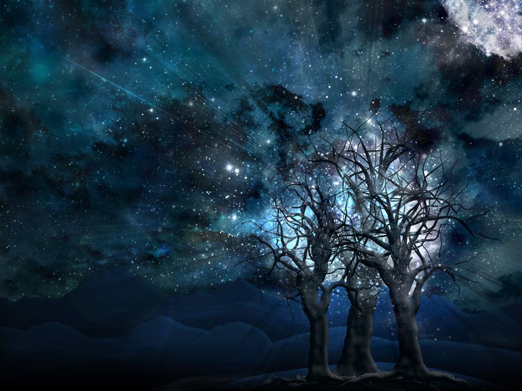 Alberi spogli cielo stellato notte, 1024x768 HD, PC Desktop