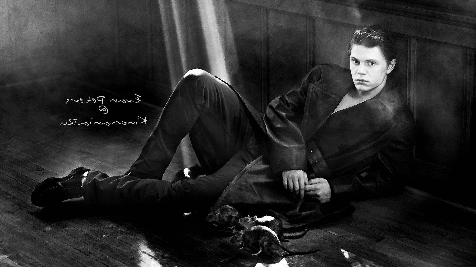 Tate Langdon American Horror Story, 1280x720 HD, Desktop