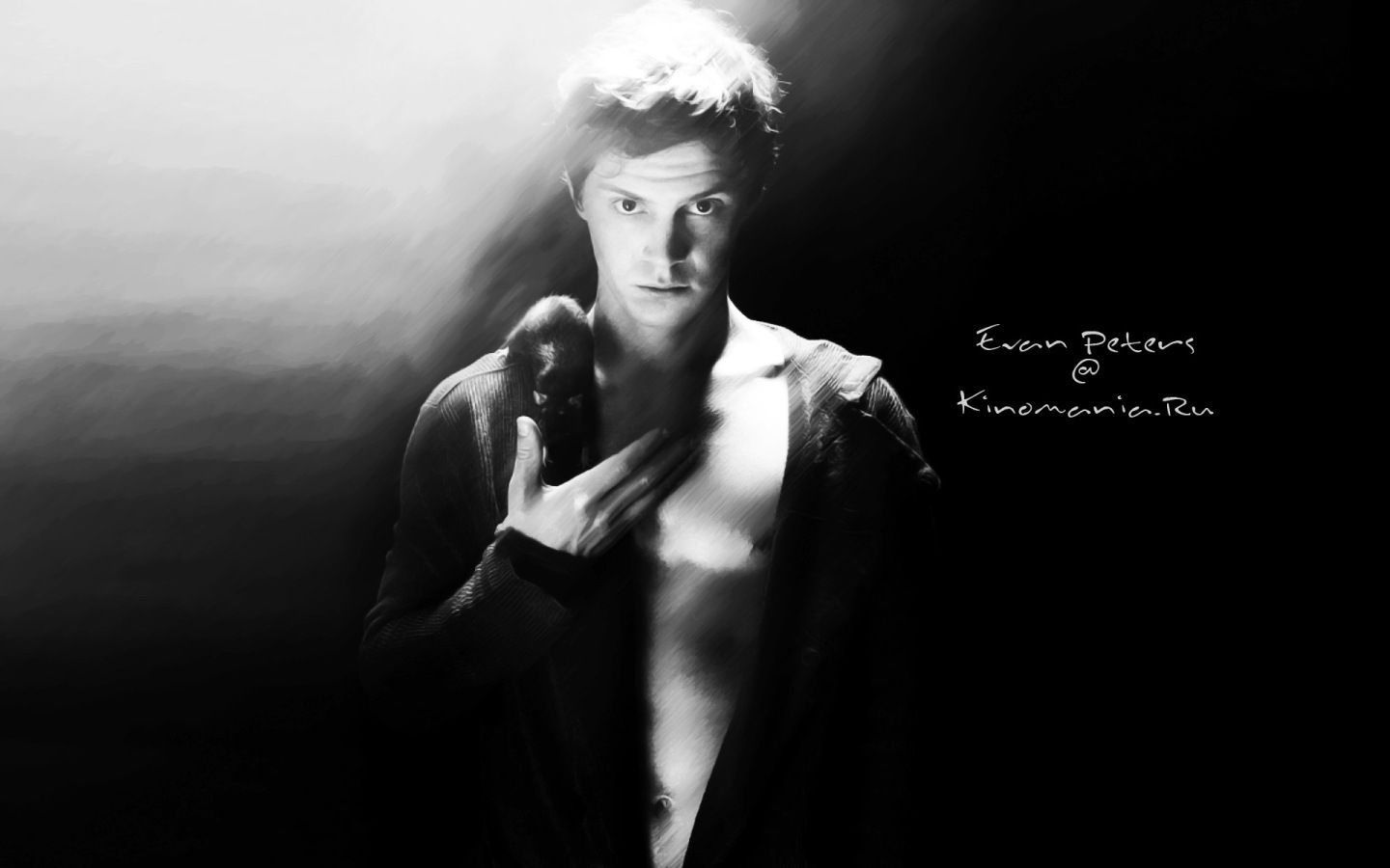 Evan Peters bianco e nero, 1920x1080 Full HD, Desktop