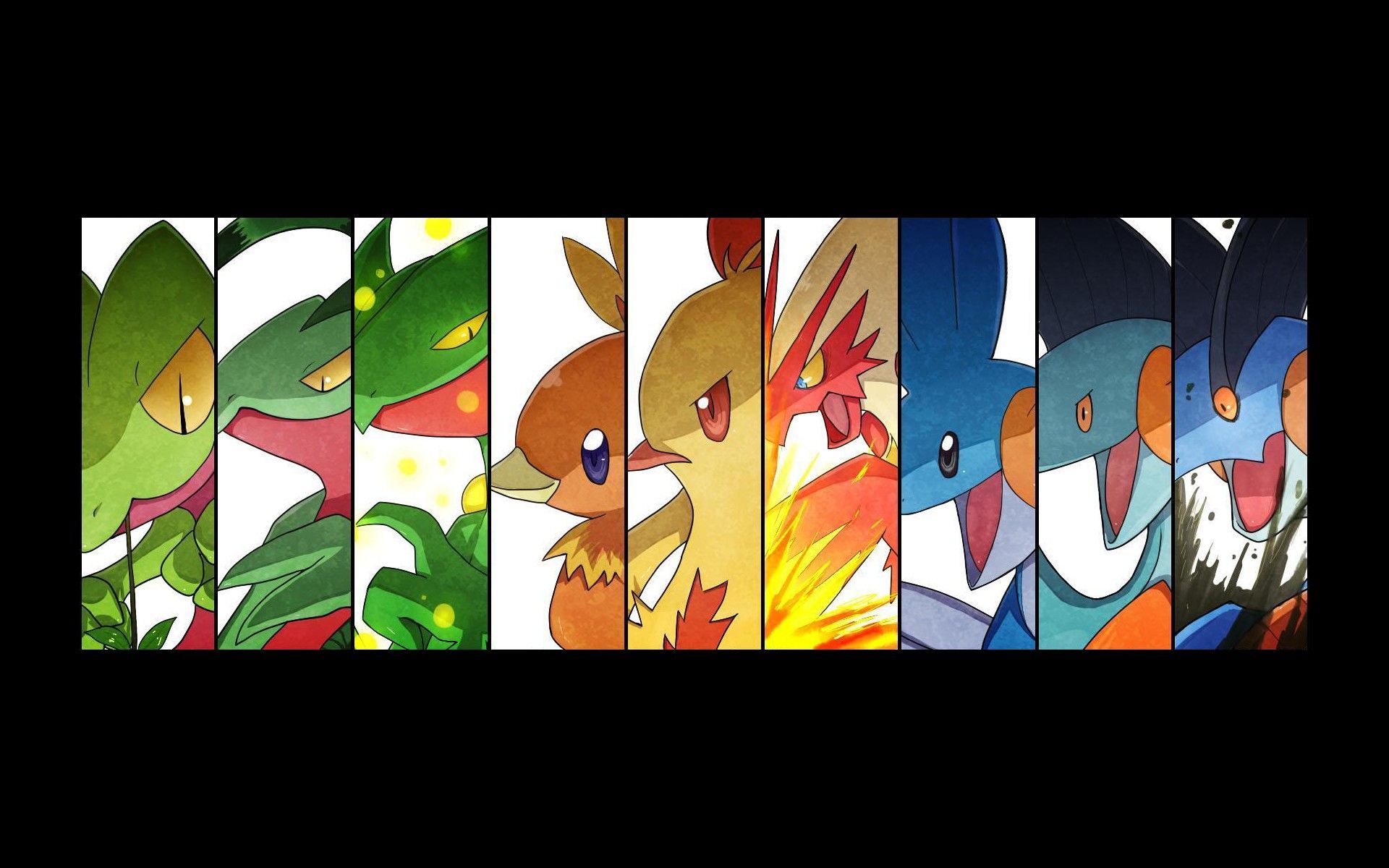 Evoluzioni Pokémon Hoenn a pannelli, 1920x1200 Full HD+ WUXGA, PC