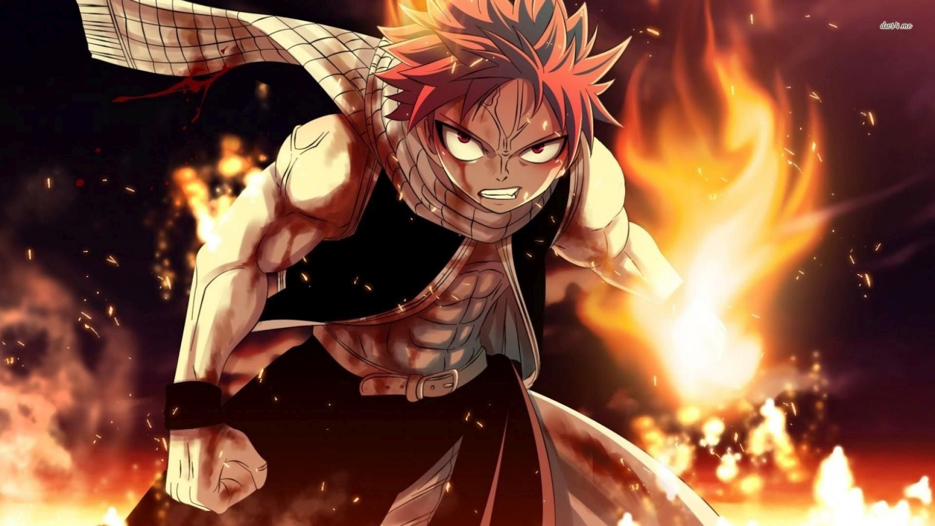 Personaggi Fairy Tail gruppo, 1024x768 HD, Desktop