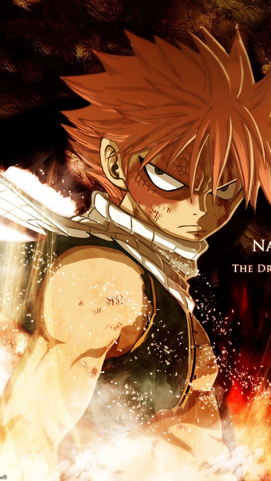Natsu Dragneel Fairy Tail fuoco, 1024x1820 Verticale, Telefono