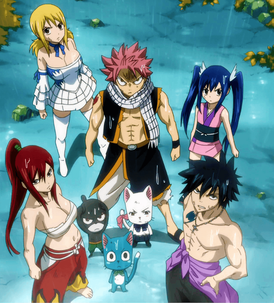 Personaggi Fairy Tail gruppo, anime, 900x994 Verticale, Mobile