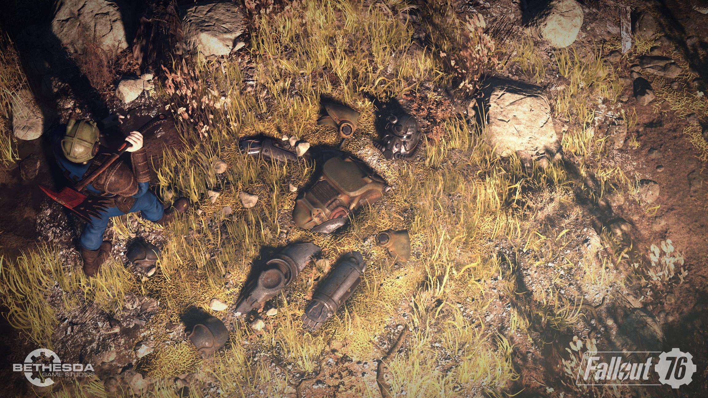 Fallout 76 personaggio erba, 3840x2160 4K, Desktop 4K