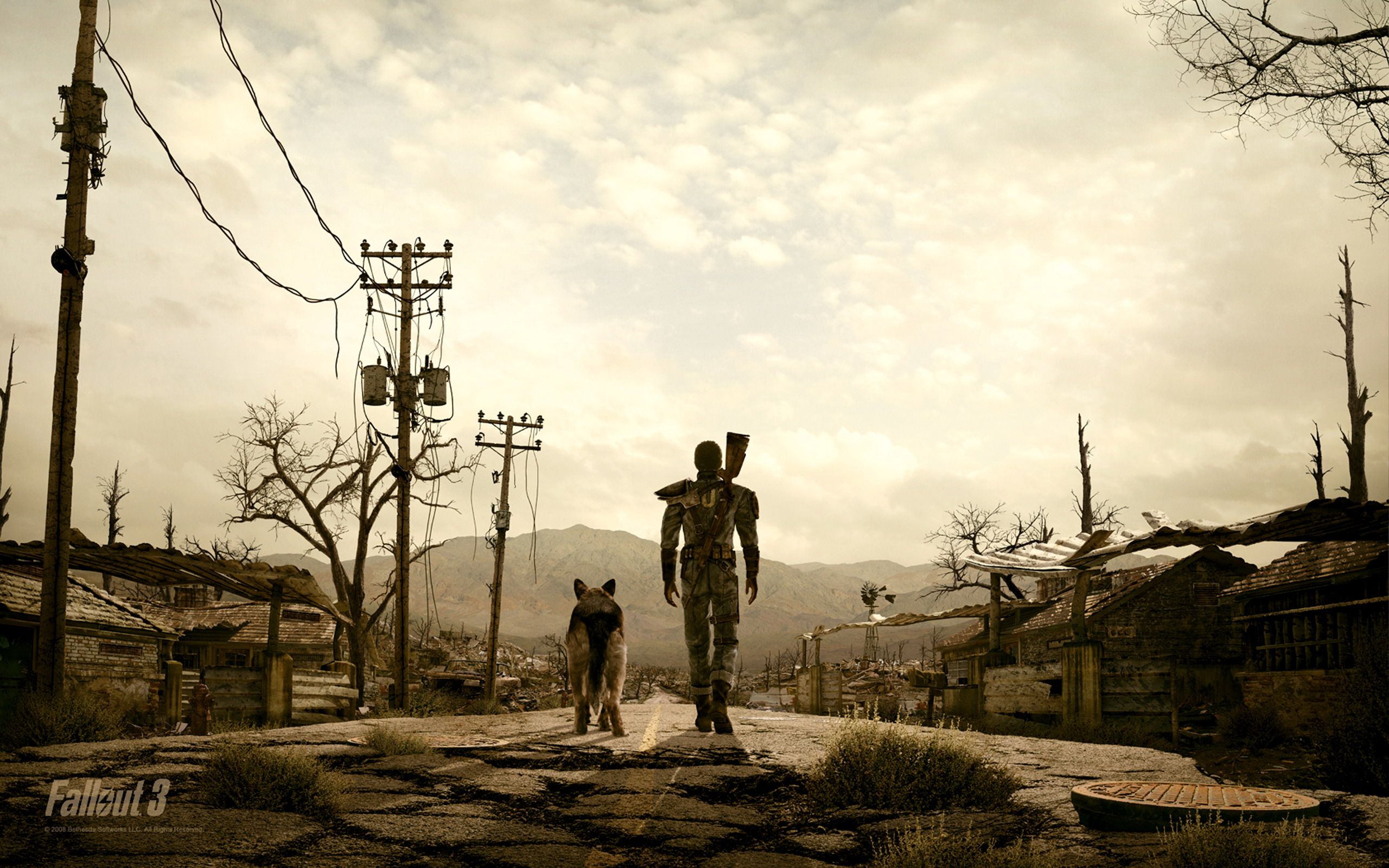 Fallout personaggio con cane, wasteland, 2560x1600 2K+, Desktop