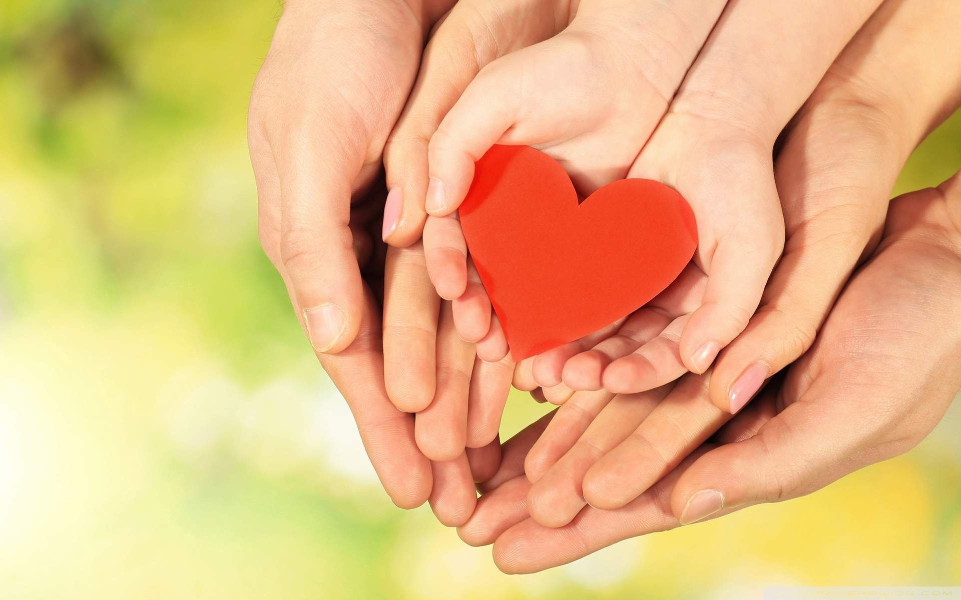 Mani famiglia con cuore rosso, 1920x1200 WUXGA, PC Desktop