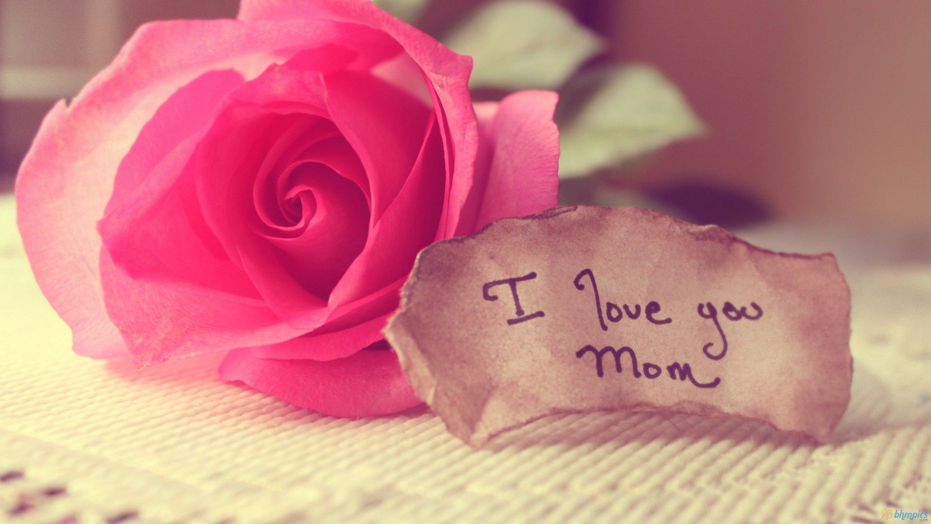 Rosa rosa con biglietto mamma, 1920x1080 Full HD 1080p, PC