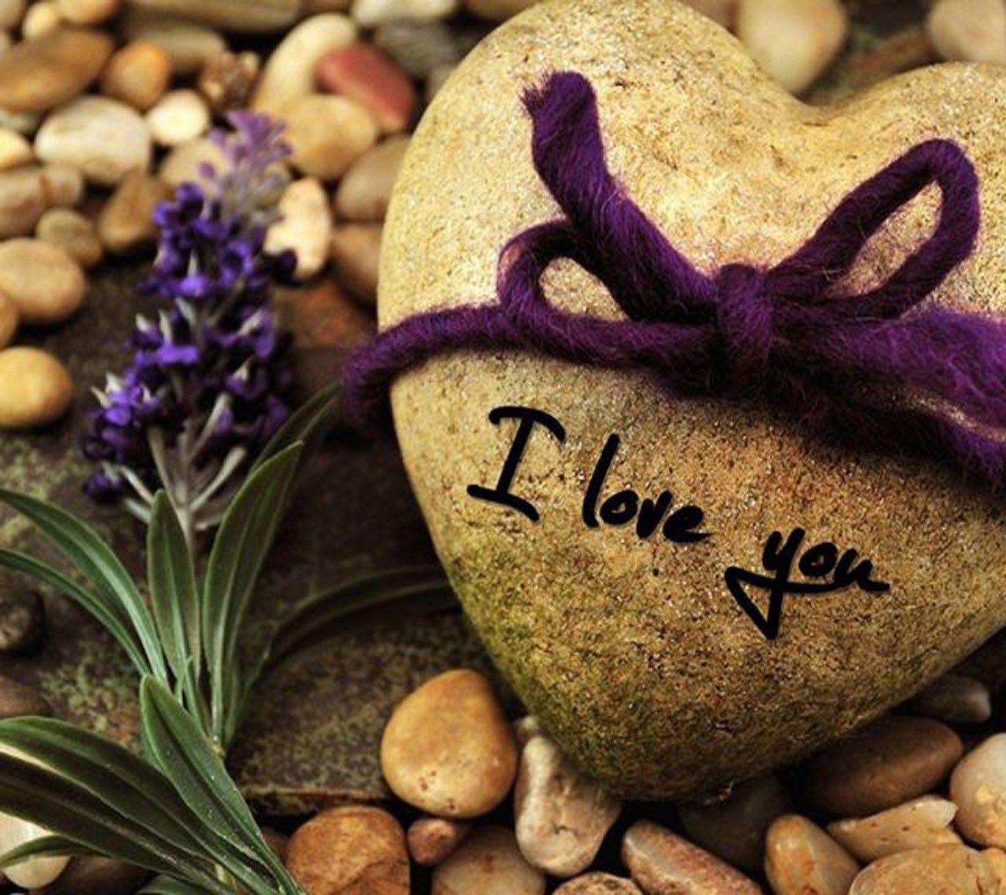 Pietra a cuore con lavanda, 1440x1280 HD, Desktop
