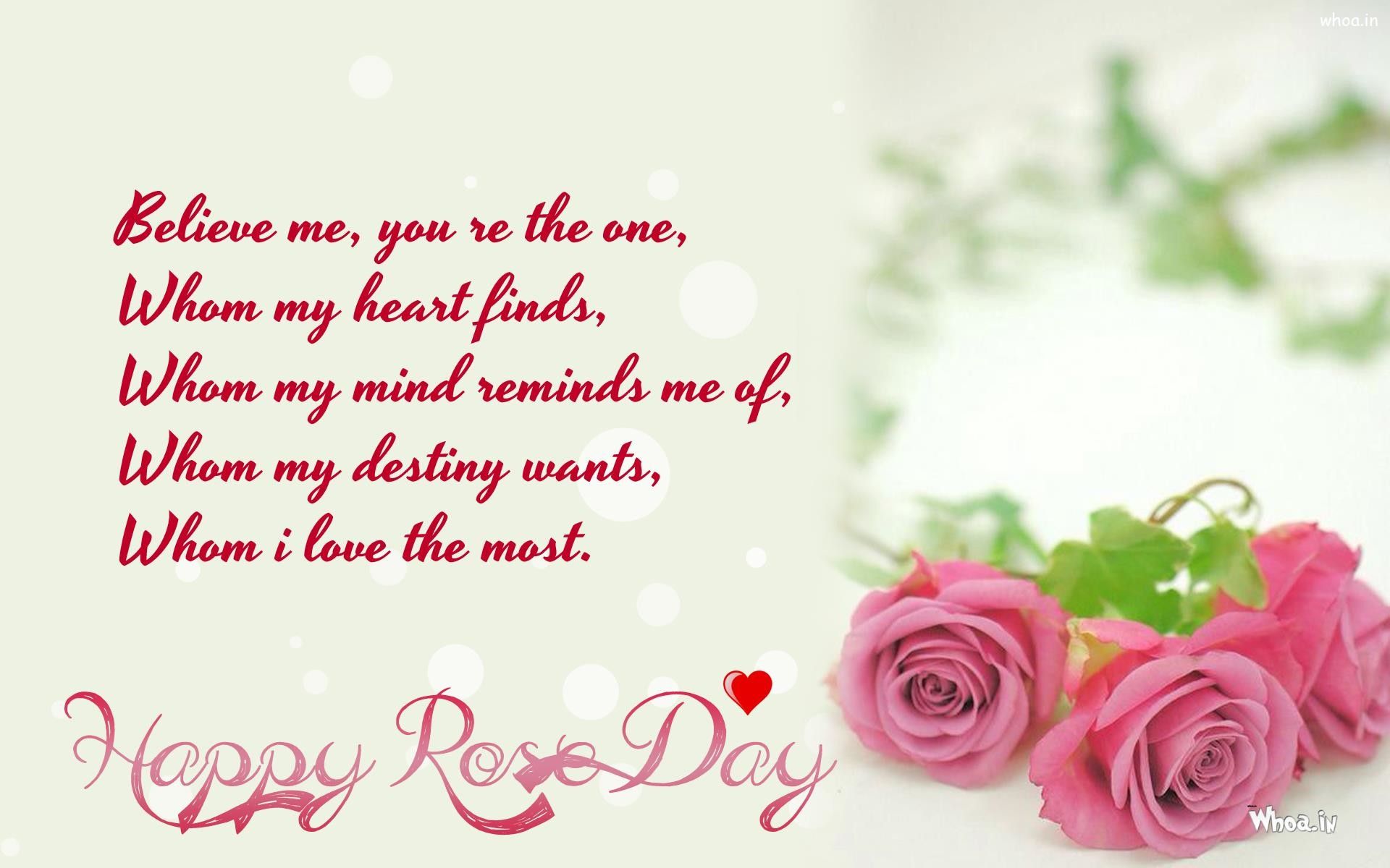 Rose rosa Happy Rose Day, 1920x1200 Full HD+, Desktop