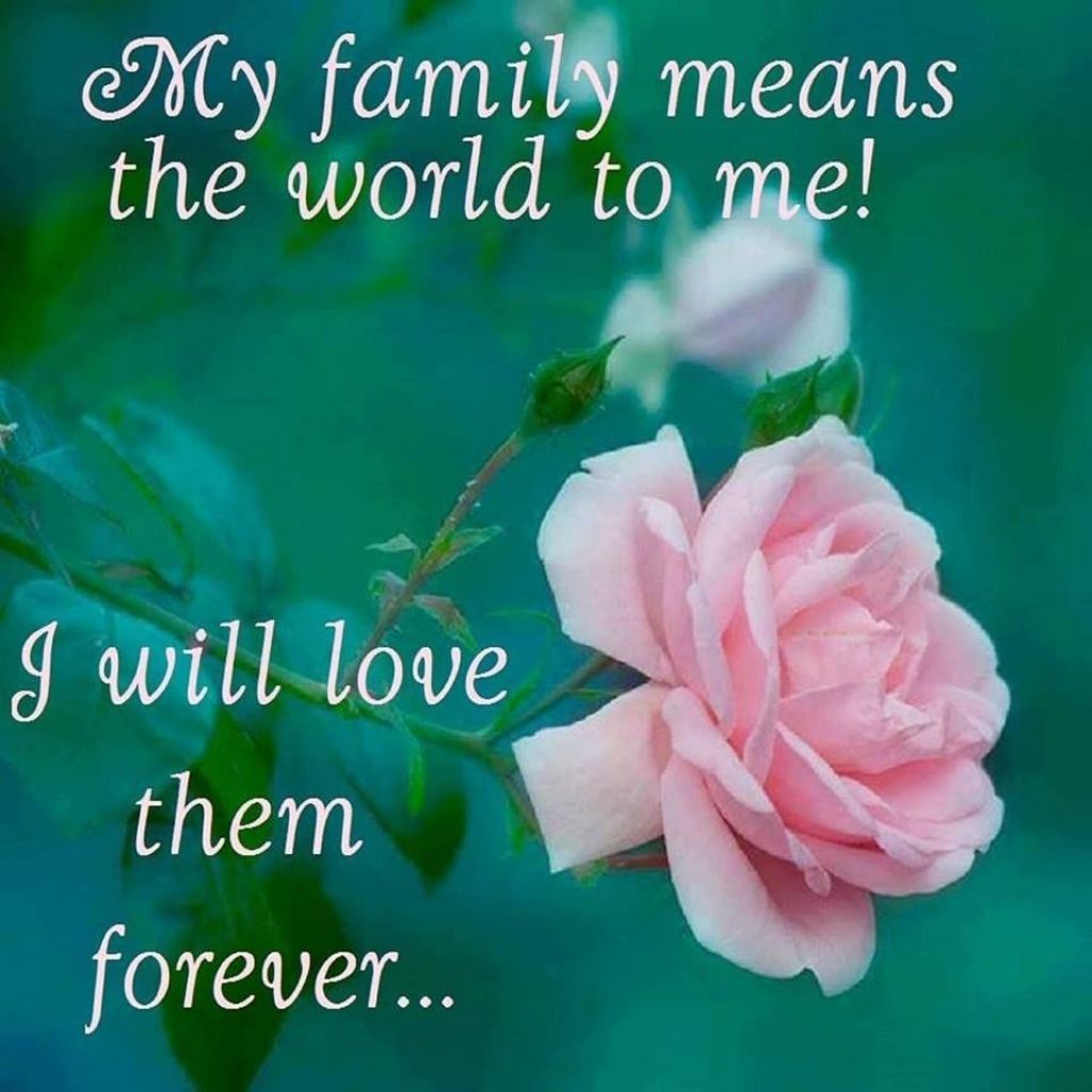 Rosa rosa con citazione famiglia, 1024x1024 HD, PC